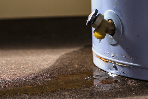 Best Professional water damage repair  in Pardeeville, WI