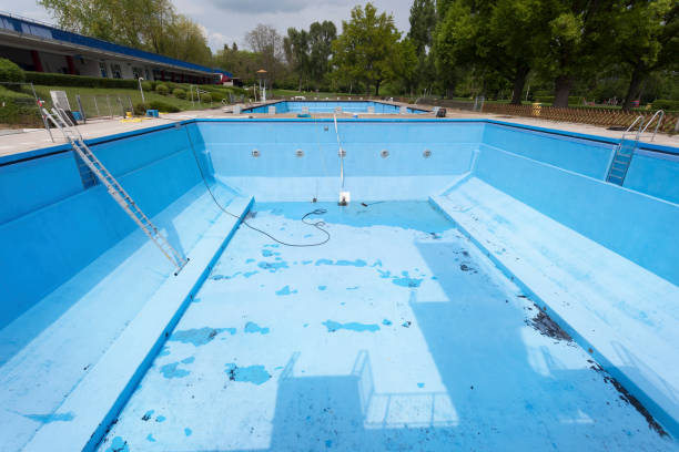 Best Basement water damage restoration  in Pardeeville, WI
