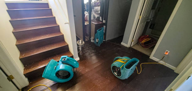Best Fire Damage Restoration  in Pardeeville, WI