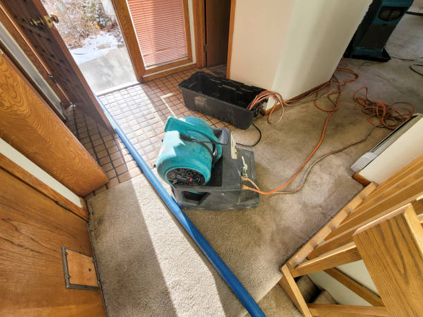 Best Carpet water damage restoration  in Pardeeville, WI