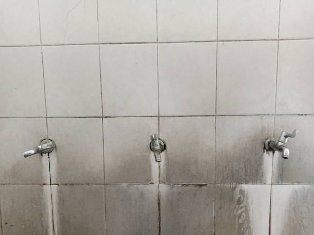 Best Professional water damage repair  in Pardeeville, WI