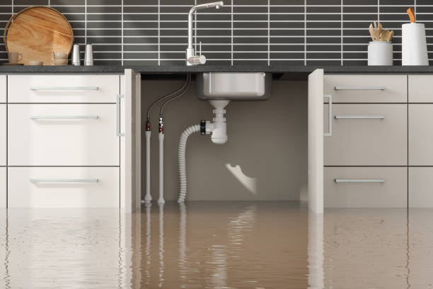 Best Commercial water damage restoration  in Pardeeville, WI